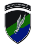 Polish Special Operations Command